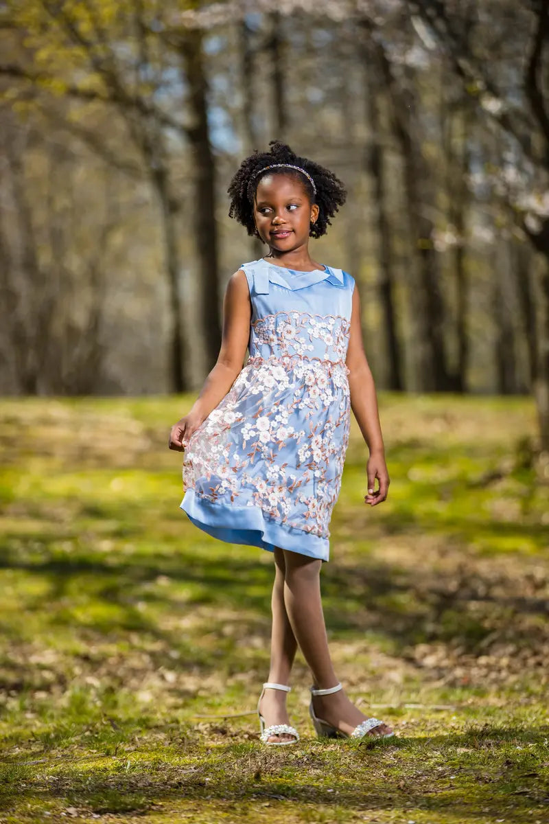 Blue Embroidered Flower Dress with Neck Ribbon - Yotty Boutik