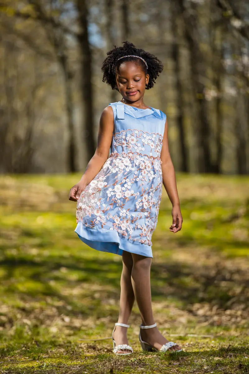 Blue Embroidered Flower Dress with Neck Ribbon - Yotty Boutik